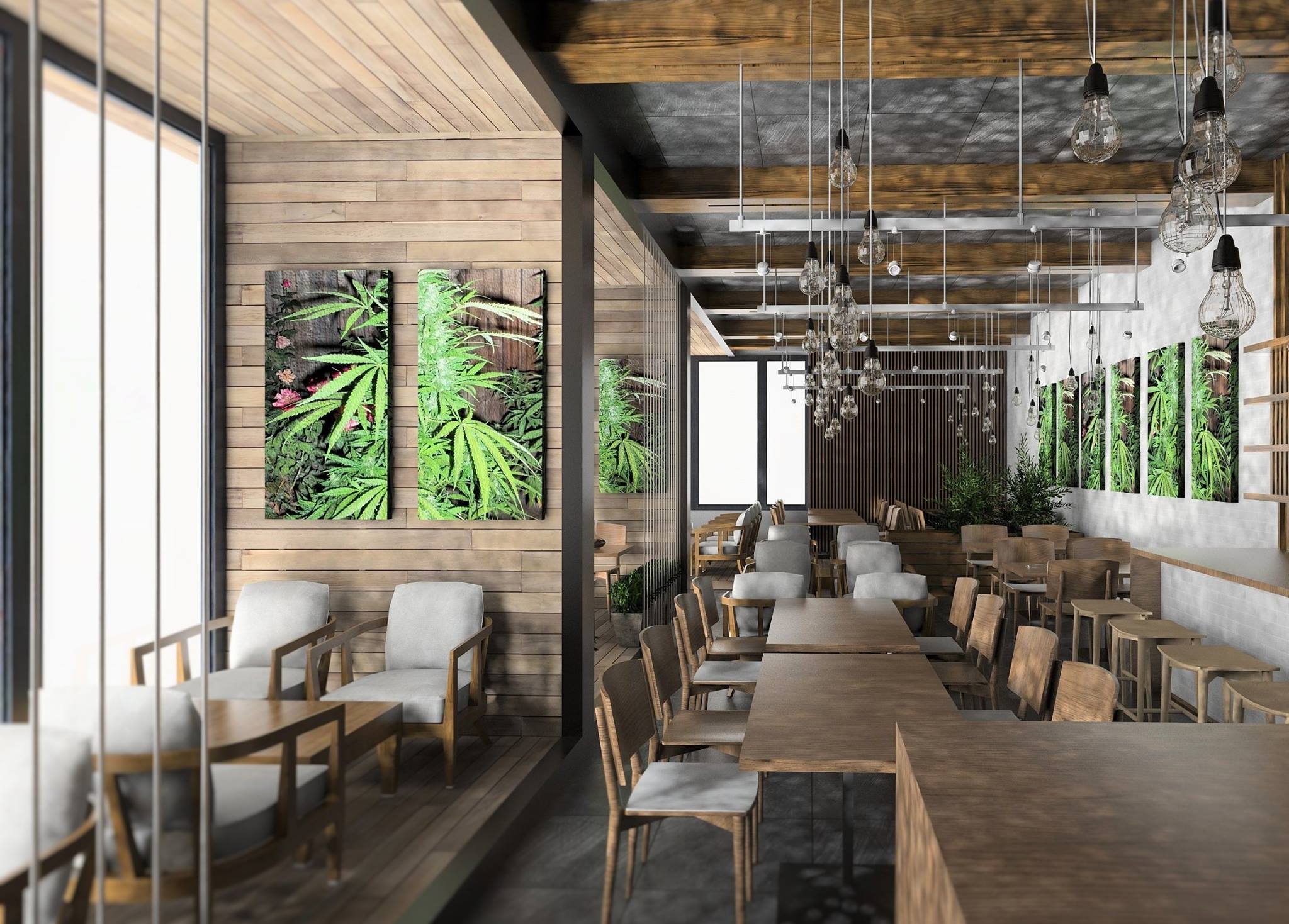 Konopie w budownictwie Konopie w budownictwie